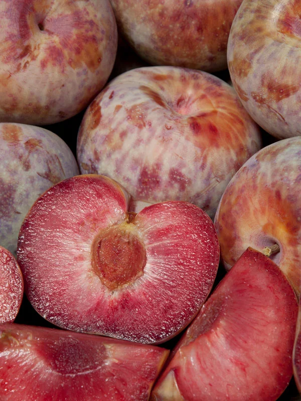 Śliwomorela Dapple Dandy